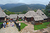 Haymaking on Plavinac near Smederevo (Photo: Vladimir Gogić)